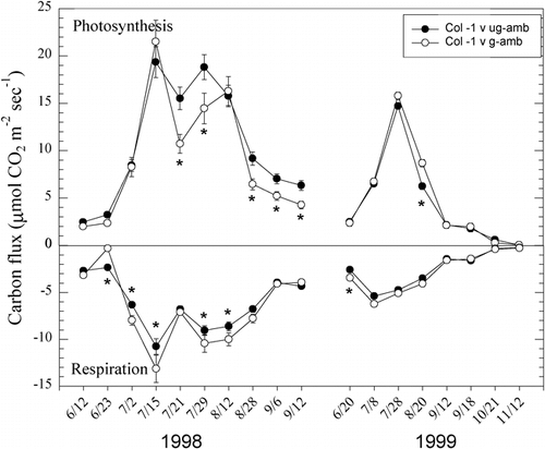 FIGURE 3. Rates of gross photosynthesis and ecosystem respiration in ungrazed and grazed areas at Libby Flats, Wyoming, during the snow-free periods of 1998 and 1999. Asterisks signify significant (P < 0.05) differences between treatments at a sampling date
