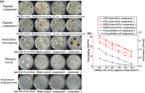 Figure 6. Inhibition effect of pigment components 1 and 2 on microorganisms (a). Antioxidant capacity of pigment components 1 and 2. The wavelength for absorbance was 298 nm (b). The data represent the average of three independent experiments. Error bars represent the standard deviation. *P < .05, calculated by t test.