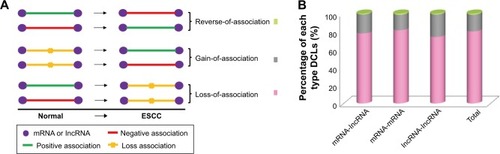 Figure 1 The presentation of the DCLs. The expression profile was used for differential co-expression analysis to identify DCLs. (A) The cartoon sketch presented the association types between genes, and the DCLs were grouped into three different types. (B) The percentages of three types of DCLs. The loss-of-association DCLs was the predominant type.