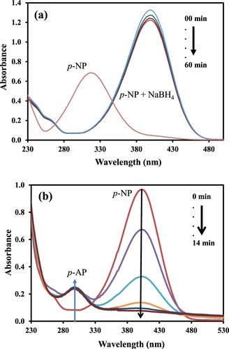 Figure 4. (a) Plots of absorbance of an aqueous solution of p-NP as a function of wavelength in the absence and presence of a reducing agent. (b) Plots of absorbance of an aqueous solution of p-NP as a function of wavelength at different intervals of time during catalytic reduction at 45 °C.