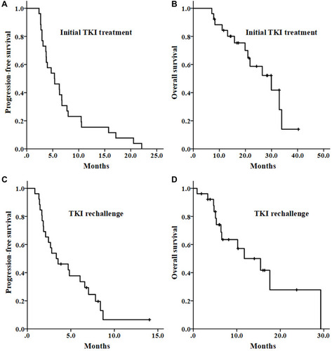 Figure 1 Survival curves of patients with unresectable or metastatic soft tissue sarcoma. (A and B) The progression-free survival and overall survival with the initial TKI treatment. (C and D) The progression-free survival and overall survival with the TKI rechallenge. TKI, tyrosine kinase inhibitor.