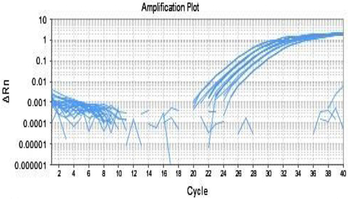 Figure 1 Representative picture for H. pylori amplification by RT-PCR. ΔRn: delta-normalized reporter (ratio of the fluorescence emission intensity of the reporter dye to the fluorescence emission intensity of the passive reference dye).