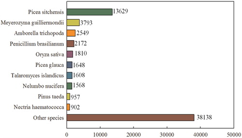 Figure 1. Species distribution in the top BLAST hits in the NCBI non-redundant (Nr) database.