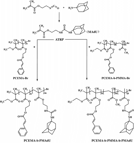 Scheme 1 Synthesis of N-methacryloyloxyethyl N′-adamantyl urea (MAdU) and block copolymers with adamantane and cinnamate blocks (PCEMA-b-PMAdU; PCEMA-b-PMMA-b-PMAdU).