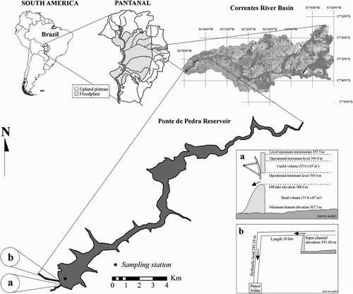 Fig. 1 Location and configuration of the Ponte de Pedra Reservoir and its drainage basin. Schematic representations of: (a) input channel; and (b) off-take.