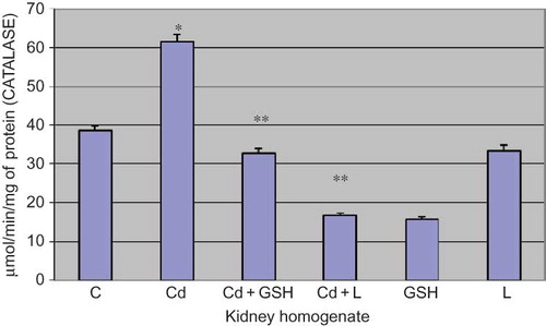 Figure 4.  Catalase activity in kidney tissue in experimental groups with cadmium, glutathione, and lipoic acid. Data are mean ± SE values. C, control group; Cd, cadmium group.Note: *p < 0.001 versus C, **p < 0.001 versus Cd.