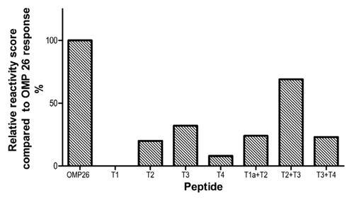 Figure 7. Summary of relative reactivity score was calculated against the OMP26 response. The OMP26 response was assigned a relative reactivity score of 5 and the responses of the other OMP26 peptides were scored against the OMP26 reactivity such that a response of 10–20% was scored as 1, 20–40% as 2, 40–60% as 3, 60–80% as 4, 80–100% as 5.