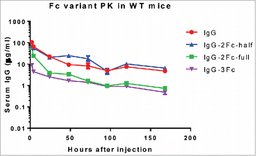 Figure 6. Pharmacokinetic profiles of KP3 IgG Fc variants in C57BL/6 mice. The serum levels for each of the IgG variants were determined by an ELISA. Each data point represents the average IgG concentration in sera from 3 mice for different time points up to 7 d.