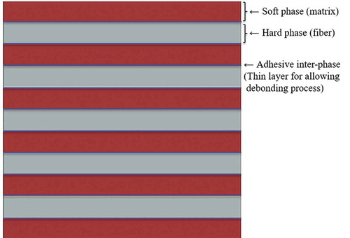 Figure 7. The conventional composite model. Cohesive elements were embedded in fibers at vertical direction to model the fiber failure.