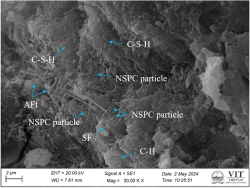 Figure 16. Interfacial transition zone between the NSPC particle and cement hydration products.