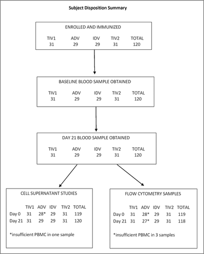 Figure 1. Subject disposition summary. Altogether 120 participants were enrolled and each group of 29 to 31 subjects was immunized with TIV1, ADV, IDV or TIV2 influenza vaccines. TIV1 = subunit vaccine; ADV = subunit vaccine with MF59 adjuvant; TIV2 = split-virus vaccine; IDV = split-virus vaccine given intradermally.