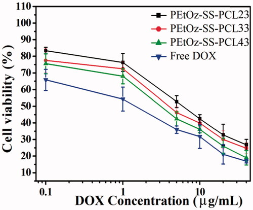 Figure 3. Antiglioma activity of DOX-loaded PEtOz-SS-PCL micelles and free DOX as a function of DOX dosages. The C6 cells were incubated with DOX-loaded micelles or free DOX for 48 h. Means ± SD (n = 6).