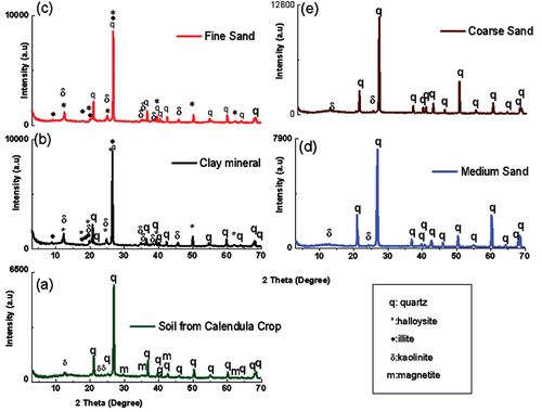 Figure 5. XRD patterns for (a) Soil for calendula crop, (b) clay mineral, (c) fine sand, (d) medium sand, (e) coarse sand.