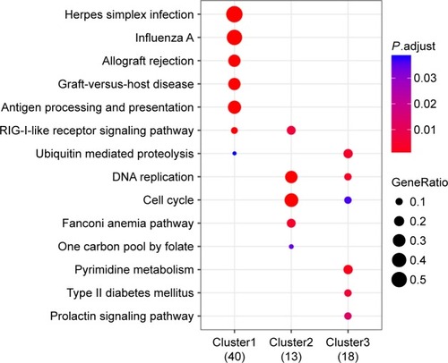 Figure 5 Results of KEGG pathway enrichment analyses for proteins in three modules.