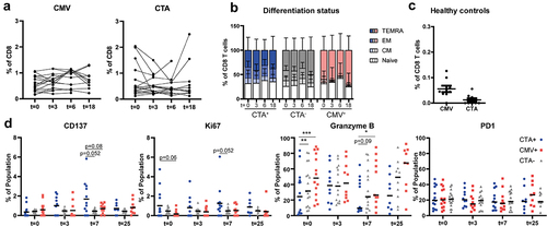 Figure 2. HCC patients show enhanced frequencies of circulating CTA-specific CD8+ T-cells compared to healthy subjects. PBMC from HCC patients before (t = 0), and approximately 3, 7, and 25 weeks (see Figure 1 for the exact time points) after RFA/TACE treatment were phenotyped by flow cytometry (n = 26). CTA-specific CD8+ T-cells were determined in HLA-A*02:01-positive patients (n = 17) using CTA peptide-loaded HLA-A*02:01 dextramers. Patient ITV-016 was included twice, before and after a first RFA and before and after a second RFA treatment. A. CTA-specific CD8+ T-cells were detected using a pool of 7 CTA peptide-loaded HLA-A*02:01 dextramers (Supplementary Table S3). Frequencies of CMVpp65495-503-specific CD8+ T-cells were measured for comparison. B. Differentiation status of CMVpp65495-503-dex+, CTA-dex+ and CTA-dex− CD8+ T-cells was determined based on CD45RA and CCR7 expression (Naïve; CD45RA+CCR7+, central memory [CM]; CD45RA−CCR7+, effector memory [EM]; CD45RA−CCR7−, and TEMRA; CD45RA+CCR7−). C. CMV-specific CD8+ T-cells were detected in healthy blood bank donors, but only a maximum of 0.06% of CD8+ T-cells recognized the pooled CTA-peptides. D. Surface expression of activation marker CD137, intracellular expression of proliferation marker Ki67, cytotoxic effector molecule granzyme B and checkpoint inhibitor PD1 were determined in CTA-dex+, CMV-dex+ and CTA-dex− CD8+ T-cells. Wilcoxon signed-rank test, * p < .05, **p < .01, ***p < .001.