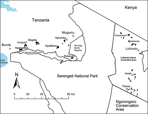 Figure 1. Locations of Bunda, Serengeti (Mugumu) and Ngorongoro districts (Loliondo) are indicated by the gray triangles. The studied villages in the west and east of the Serengeti National Park (SNP) are also indicated.