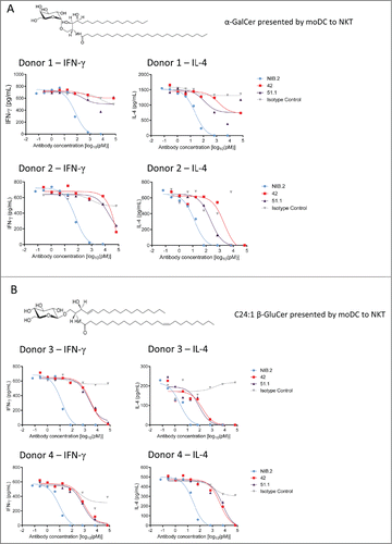 Figure 2. NIB.2 demonstrates strong neutralizing activity across 2 structurally distinct glycolipids in primary human cell-based potency assays. NIB.2 was titrated from ∼7 nM and demonstrated improved inhibition of IFN-γ and IL-4 by NKT cells after 24 h, as determined by ELISA, compared with anti-CD1d antibodies 42 and 51.1 titrated from ∼70 nM, in an assay using α-GalCer-expanded NKT cells and α-GalCer or C24:1 β-GluCer-loaded CD14+ monocyte-derived dendritic cells as CD1d-positive cells. Graphical representation of IFN-γ and IL-4 results are presented where α-GalCer (A) or C24:1 β-GluCer (B) was used as the glycolipid antigen. In all assays, the isotype human IgG4 control antibody did not markedly inhibit cytokine release compared with the reference antibodies. IC50 values from representative experiments as shown in (A) and (B) are presented in Tables 2 and 3. The presented data from 2 separate donors are representative of up to n = 10 experiments with a minimum of n = 2 donors per experiment.