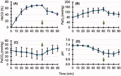 Figure 2. Arterial blood gas analysis in the carbon monoxide (CO) poisoning group. Arrows indicate when CO inhalation is complete. (A,B) The carbonyl haemoglobin (HbCO) and arterial partial pressure of oxygen (PaO2) concentration in the blood increased gradually. After the end of CO inhalation, it decreased gradually. (C,D) Arterial partial pressure of carbon dioxide (PaCO2) and pH decreased gradually and then increased after CO inhalation ended. Collectively, these results suggest that the increased respiratory rate because of CO inhalation caused an increase in blood oxygen (O2) and a decrease in blood carbon dioxide (CO2), but it also caused an O2 deficiency in peripheral tissues, resulting in acidosis.