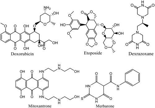 Figure 1. Examples for anticancer agents targeting topoisomerase II.