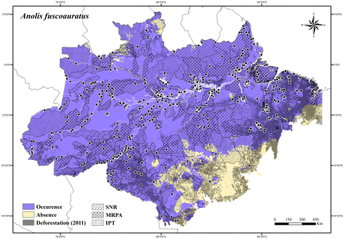 Figure 7. Occurrence area and records of Anolis fuscoauratus in the Brazilian Amazonia, showing the overlap with protected and deforested areas.