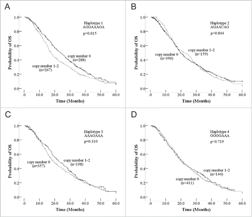 Figure 2. Kaplan-Meier curve of overall survival according to the haplotypes of CASP8. (A) The patients with zero copy number of haplotype 1 had longer OS than patients with copy number one or 2 of haplotype 1. (B) The Kaplan-Meier curve between haplotype 2 and OS, no significantly difference was observed. (C) The Kaplan-Meier curve between haplotype 3 and OS, no significantly difference was observed. (D) The Kaplan-Meier curve between haplotype 4 and OS, no significantly difference was observed.