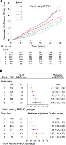 Figure 2 Additive joint effect between excess BMI, PNPLA3 148M-variant, and hepatic steatosis on the probability of HBsAg seroclearance. (A) Cumulative incidence function curve of HBsAg seroclearance according to a prognostic score ranging from 0 to 5 (points: BMI [normal weight/underweight=0, overweight=1, obesity=2]; PNPLA3 [II=0, MI=1, MM=2]; steatosis [No=0, yes=1]). (B) Sub-distribution hazard ratios (sHRs) with 95% CIs estimated from competitive risk Cox model. Solid circles and lines indicated sHRs and 95% CIs. sHRs derived from the entire cohort were adjusted for age, ALT, history of liver disease, diabetes, cigarette smoking, and alcohol consumption. sHRs derived from the subcohort were further adjusted for HBeAg, viral load, HBV genotype (C vs non-C), and BCP double mutations.