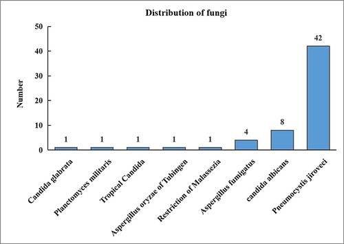 Figure 2 Distribution of fungi in non-HIV-infected patients with PJP.