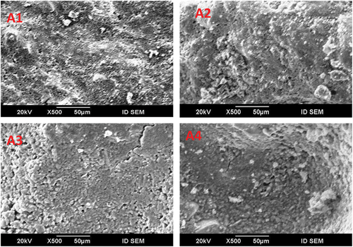 Figure 3. SEM micrographs of A1, A2, A3 and A4 geopolymer pastes at 90 days.