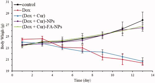 Figure 15. Body weights of the mice after treatments with various drug formulations.