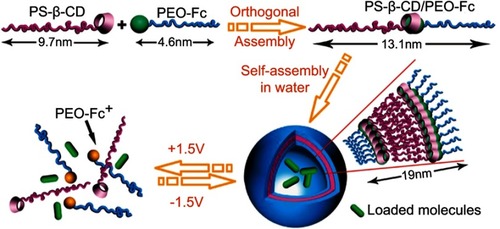 Figure 8 Structure of PS-β-CD and PEO-Fc and schematic of the voltage-responsive controlled assembly and disassembly of PS-β-CD/PEO-Fc supramolecular vesicles. Reprinted with permission from Yan Q, Yuan J, Cai Z, Xin Y, Kang Y, Yin Y. Voltage-Responsive Vesicles Based on Orthogonal Assembly of Two Homopolymers. J Am Chem Soc. 2010;132(27):9268–9270. Copyright 2010, American Chemical Society.Citation74