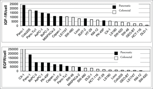 Figure 7. FACS Analysis of IGF-1R and EGFR expression on pancreatic and colorectal carcinoma cell lines. Human pancreatic and colorectal carcinoma tumor cells were incubated with 10µg/ml of phycoerythrin (PE)-conjugated EGFR or IGF-1R antibodies and subjected to FACS analysis using a FACS Canto II. The number of antibodies bound per cell was determined using a Phycoerythrin Fluorescence Quantification Kit and receptor density per cell was calculated.