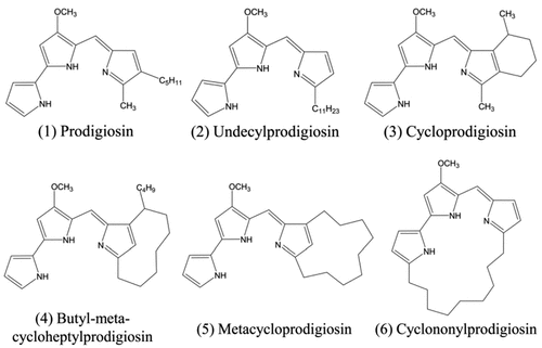 Figure 1. Comparative chemical structure of prodigiosin and its different isoforms (with permission from [Citation18]).
