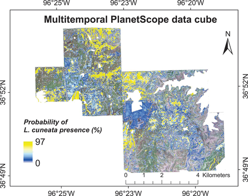 Figure 10. Probability of L. cuneata presence based on WTA decision fusion using three PCA components obtained from the combined multitemporal PlanetScope imagery. We obtained these results by running our classification models 100 times with different training/validation datasets through randomized permutations. We excluded oak tree land-cover from our results.