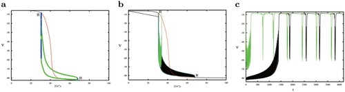 Figure 11. (a) The complete bifurcation diagram of the system deleting [Ca2+]T dynamics at [IP3]=0.16. There are two Hopf bifurcation points: [Ca2+]T=30.78,67.17. The stable limit cycle from the upper point changed from a large-amplitude unstable one initially approaches the other orbit bifurcating from the lower point, forming a green circle. The black and red curves correspond to stable and unstable equilibrium. (b) The orbits of the whole system with initial values close to the two H points fill in the circle. (c) The orbits with different initial values go into the upper part of the circle.