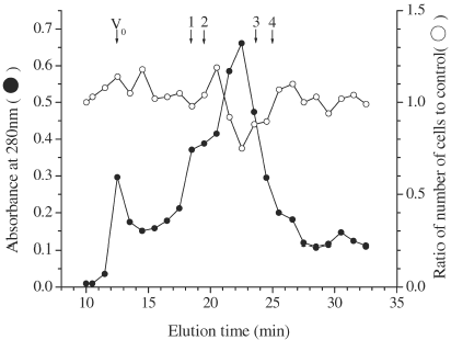 Figure 4. Elution profile of MIA in MKE on TSKgel-G3000SWXL. Sample: MKE 100 µl (1.52 mg), Flow rate: 30 ml/h, Fractionation: 0.5 ml/fraction. Each number indicates the elution position of the standard protein for calibration. 1: BSA (68 kDa), 2: albumin from egg (45 kDa), 3: chymotrypsinogen (25 kDa) and 4: cytochrome C (12.5 kDa).