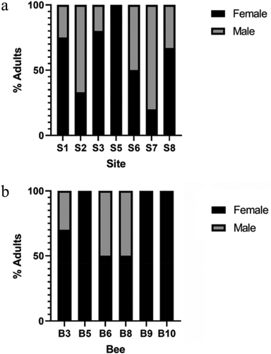 Figure 5. Percentage of each sex at emergence. (a) Inert deutonymphs percentage of each sex that developed into adults at each sample site (S1–S8). No adults emerged from site 4. (b) Phoretic deutonymph percentage of each sex that developed into adults from individual host bee (B3–B10). Adult mites did not emerge from bees 1, 2, 4, and 7.