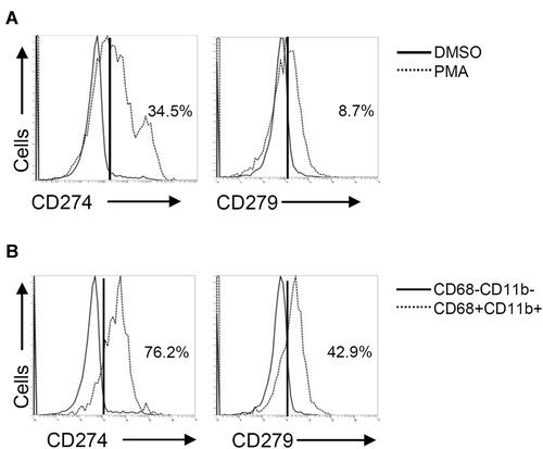 Figure 3 Phorbol 12-myristate 13-acetate (PMA) treatment induces PD-L1 (CD274) and PD-1 (CD279) expression in THP-1-differentiated macrophages. According to the experimental design shown in Figure 1A, immunostaining followed by flow cytometric histogram and dot-plot analysis showed the expression of PD-L1 (CD274) and PD-1 (CD279) in PMA-treated THP-1 cells (A) without or (B) with the gating of CD68−CD11b− and CD68+CD11b+ cells. Representative data were selectively obtained from three individual experiments, and the percentage of positive cells is shown.