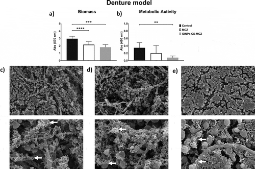 Figure 2. Results of XTT reduction assay (A), quantification of total biomass (B) and scanning electron microscopy (SEM) observation (C) for the denture biofilm model untreated (control) and (D) treated with miconazole (MCZ) only or (E) the nanocarrier containing MCZ at 64 mg/L (IONPs-CS-MCZ) anaerobically for 24 hours. Magnification of the SEM images: 1,000x and 3,500x; Bars: 10 and 5 µm. Significant differences between the groups were calculated by one-way ANOVA with Tukey’s post-hoc test (* p < 0.05, **p < 0.01, *** p < 0.001, **** p < 0.0001). Results shown in A and B representative of a total of 9 values for each treatment e.g., three technical replicates from three separate experiments. White arrows represent adhesion of bacteria to yeasts/hyphae. Yellow arrows highlight the visible coverslip due to loss of biofilm biomass following treatment with IONPs-CS-MCZ.