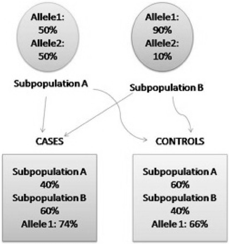 Figure 1 Illustration of population stratification in case‐control studies. Case and control groups come from two subpopulations, A and B, which differ in allele frequency for the polymorphism tested, 50% versus 90% for allele 1. If the case and control groups differ in the number of individuals coming from subpopulation A (40% versus 60%), this will create a difference in observed allele 1 frequencies between the groups (74% versus 66%) simply due to population substructure, rather than any relationship between allele 1 and disease status.