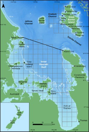 Figure 1. Map of the Hauraki Gulf, New Zealand. The solid black line (from Takatu Point to Kaiiti Point) indicates the boundary between the inner and outer Hauraki Gulf, the white lines show the 30 m isobath and the yellow lines the 100 m isobath. Bathymetry is depicted with darker shades of blue representing deeper waters (data courtesy of NIWA; Mackay et al. Citation2012). 5 × 5 km grid cells are shown in grey. Inset: location of the Hauraki Gulf, North Island, relative to New Zealand.