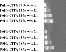 FIG. 3 Gel retardation assay of PAHy-CPTA (48%), PAHy-CPTA (33%) at polymer/DNA λ Hind III weight ratios 1/1, 2/1, 3/1, 5/1.