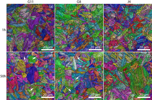 Figure 3. Electron backscattered diffraction inverse pole figure overlaid with grain boundary maps for three steels tempered at 788°C for 1 (top row) or 50 h (bottom row): white arrows mark some examples of subgrain developing regionCitation34