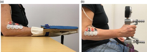 Figure 2. Maximal voluntary contractions: (a) resisted wrist extension; and (b) hand grip.