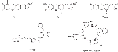 Figure 1.  Structures of T4, T3, Tetrac, XT199, and cyclic RGD tripeptide.
