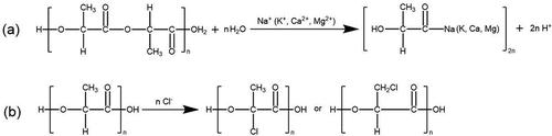 Figure 5. Reaction of PLA during the microbial degradation.