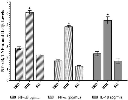 Figure 2. NF-κB, TNF-α, and IL-1β levels in the testis tissue of study groups. *p < 0.0001 according to SG and IRD groups (n = 6).