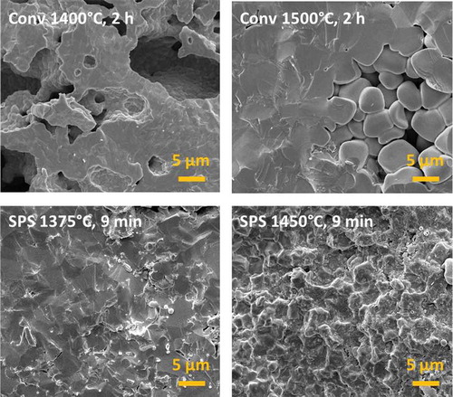 Figure 4. High-magnification SEM micrographs of fracture surfaces of sintered samples.