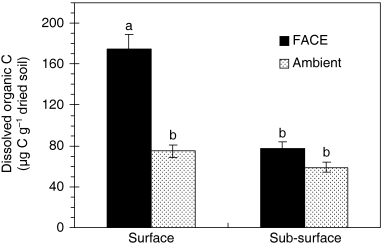 Figure 2  Dissolved organic C (DOC) in surface (0–1 cm) and sub-surface (1–10 cm) soil samples collected from a rice paddy field exposed to elevated and ambient CO2 concentrations. Columns with the same letter were not significantly different using Tukey's tests (P ≤ 0.05). Vertical bars indicate the standard error of the mean. Values are the mean of three replicates.