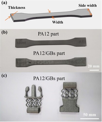Figure 2. (a) A model of the tensile test specimen. Photographs of the MJF-printed samples with complex shapes: (b) tensile test specimens and (c) a set of seat belt buckles.