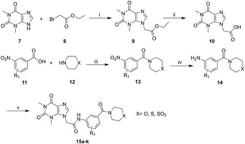 Scheme 1. General synthesis of compounds 15a–k. Reagents and conditions: (i) K2CO3, DMF, 60 °C, 6 h; (ii) methanol, LiOH, r.t., 8 h; (iii) HATU, DIEA, r.t., 24 h; (iv) Fe, NH4Cl, 90 °C refluxed, 3h; (v) HATU, DIEA, r.t., 24 h.